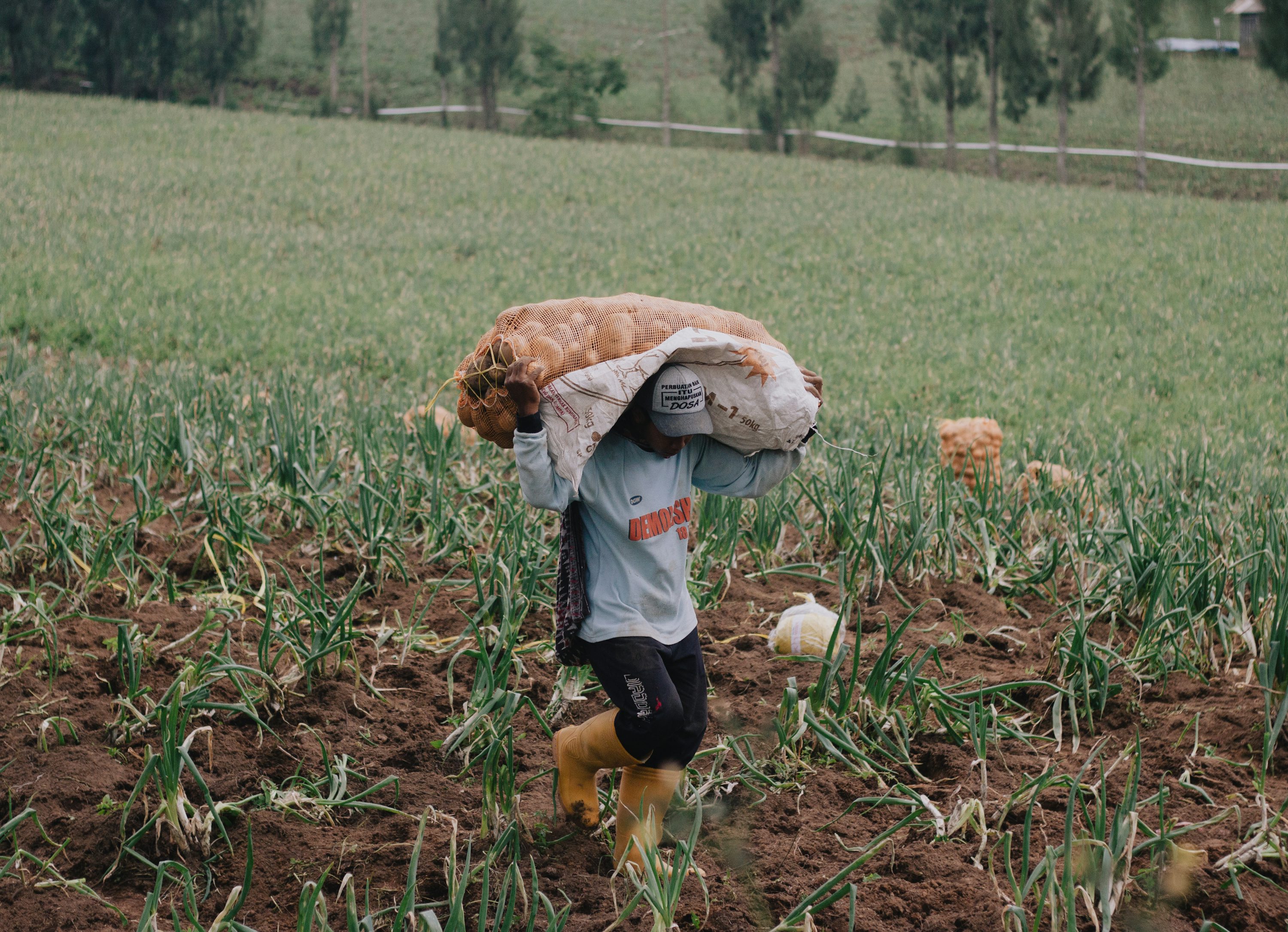 Agriculteurs au travail